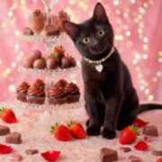 ヒメ日記 2026/02/11 12:46 投稿 深田美咲(ふかだみさき) 五十路マダムエクスプレス厚木店(カサブランカグループ)