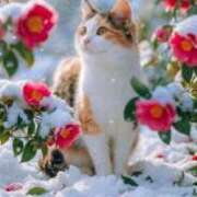 ヒメ日記 2026/02/21 10:54 投稿 深田美咲(ふかだみさき) 五十路マダムエクスプレス厚木店(カサブランカグループ)