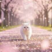 ヒメ日記 2026/03/12 12:34 投稿 深田美咲(ふかだみさき) 五十路マダムエクスプレス厚木店(カサブランカグループ)