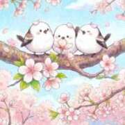 ヒメ日記 2026/03/23 12:18 投稿 深田美咲(ふかだみさき) 五十路マダムエクスプレス厚木店(カサブランカグループ)