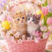 ヒメ日記 2026/04/05 09:52 投稿 深田美咲(ふかだみさき) 五十路マダムエクスプレス厚木店(カサブランカグループ)