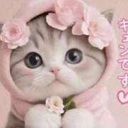 ヒメ日記 2026/04/09 18:02 投稿 深田美咲(ふかだみさき) 五十路マダムエクスプレス厚木店(カサブランカグループ)