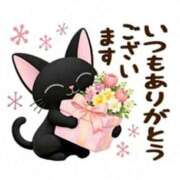 ヒメ日記 2026/04/11 12:06 投稿 深田美咲(ふかだみさき) 五十路マダムエクスプレス厚木店(カサブランカグループ)