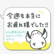 ヒメ日記 2026/05/31 13:08 投稿 深田美咲(ふかだみさき) 五十路マダムエクスプレス厚木店(カサブランカグループ)