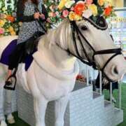 ヒメ日記 2024/12/17 22:52 投稿 わか 熟女の風俗最終章 池袋店