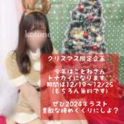 ヒメ日記 2024/12/19 07:25 投稿 ことね かりんと神田