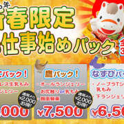 ことね 一富士二鷹三茄子 かりんと神田