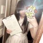 ヒメ日記 2026/07/31 10:44 投稿 ことね かりんと神田