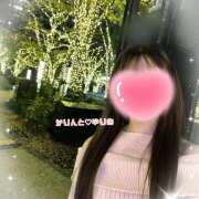 ヒメ日記 2025/12/08 17:00 投稿 ゆりあ かりんと神田