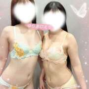 ヒメ日記 2026/03/29 12:08 投稿 ゆりあ かりんと神田