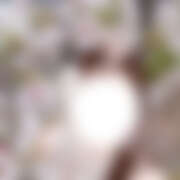 ヒメ日記 2026/04/09 03:07 投稿 ゆりあ かりんと神田