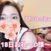 ヒメ日記 2024/12/20 20:33 投稿 ももか CECIL