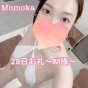 ヒメ日記 2025/01/30 19:30 投稿 ももか CECIL