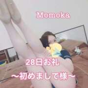 ヒメ日記 2025/01/30 20:30 投稿 ももか CECIL