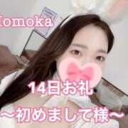 ヒメ日記 2025/02/15 20:30 投稿 ももか CECIL