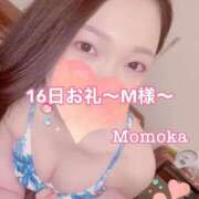 ヒメ日記 2025/02/17 20:31 投稿 ももか CECIL