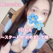 ヒメ日記 2025/04/06 18:31 投稿 ももか CECIL