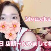 ヒメ日記 2025/06/01 19:30 投稿 ももか CECIL