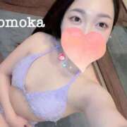 ヒメ日記 2025/09/11 11:30 投稿 ももか CECIL