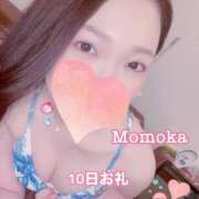 ヒメ日記 2025/11/12 18:30 投稿 ももか CECIL