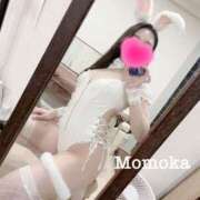 ヒメ日記 2025/11/15 16:30 投稿 ももか CECIL