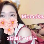 ヒメ日記 2025/12/03 21:31 投稿 ももか CECIL