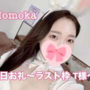 ヒメ日記 2026/04/10 18:31 投稿 ももか CECIL