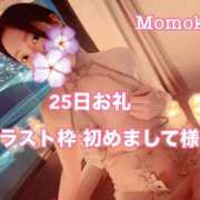 ヒメ日記 2026/07/28 11:30 投稿 ももか CECIL