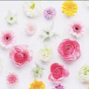 ヒメ日記 2026/01/08 22:19 投稿 鳴瀬わかな 人妻家久喜