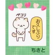 ヒメ日記 2025/03/10 14:20 投稿 ちさと 奥様の実話 谷九店