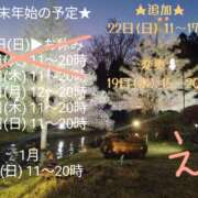 ヒメ日記 2024/12/18 23:04 投稿 えり かりんと神田