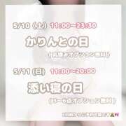 ヒメ日記 2025/05/10 08:26 投稿 ひなの かりんと神田