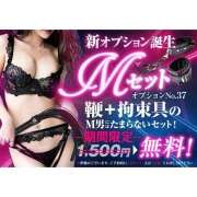 ヒメ日記 2025/07/23 10:41 投稿 ひなの かりんと神田