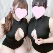 ヒメ日記 2025/07/30 08:43 投稿 ひなの かりんと神田