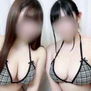 ヒメ日記 2025/09/17 09:07 投稿 ひなの かりんと神田