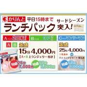 ヒメ日記 2025/10/20 11:48 投稿 ひなの かりんと神田