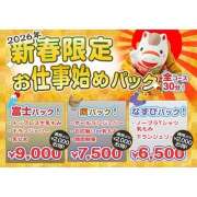 ヒメ日記 2026/01/06 11:02 投稿 ひなの かりんと神田