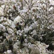 ヒメ日記 2025/05/08 21:58 投稿 そら DIVA-ディーバ-【DIVAグループ】