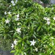 ヒメ日記 2025/05/08 22:14 投稿 そら DIVA-ディーバ-【DIVAグループ】