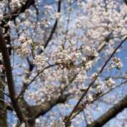 ヒメ日記 2026/03/28 08:34 投稿 りり コスプレ痴漢電車