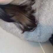 ヒメ日記 2025/05/23 15:14 投稿 ハム～趣味：乳首責め～ 仙台素人デリヘル専門学校