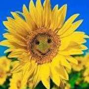 ヒメ日記 2025/07/31 22:35 投稿 ももな アイムシェイク