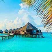 ヒメ日記 2025/08/04 22:35 投稿 ももな アイムシェイク