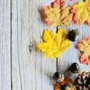 ヒメ日記 2025/09/12 22:10 投稿 ももな アイムシェイク