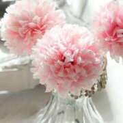 ヒメ日記 2025/10/11 21:10 投稿 ももな アイムシェイク