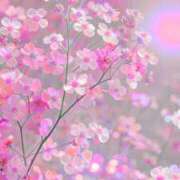 ヒメ日記 2025/11/09 12:35 投稿 ももな アイムシェイク