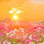 ヒメ日記 2025/12/12 23:10 投稿 ももな アイムシェイク