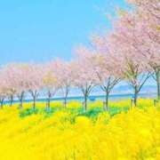 ヒメ日記 2026/04/21 20:53 投稿 ももな アイムシェイク