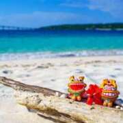 ヒメ日記 2025/10/05 11:36 投稿 奥原 みほ HANA-okinawa-