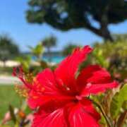 ヒメ日記 2025/10/28 23:03 投稿 奥原 みほ HANA-okinawa-